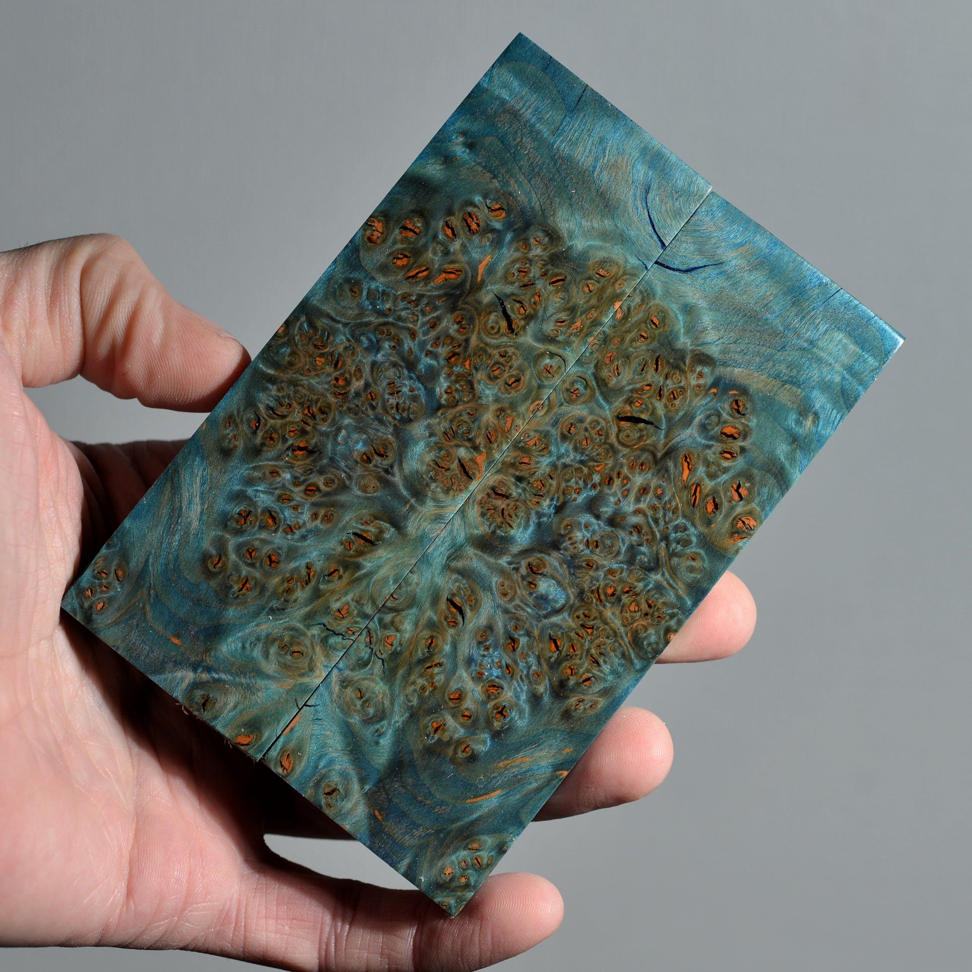 Stabilized alder burl knife handle scales featuring ocean teal coloration with rich burl figure and organic texture.