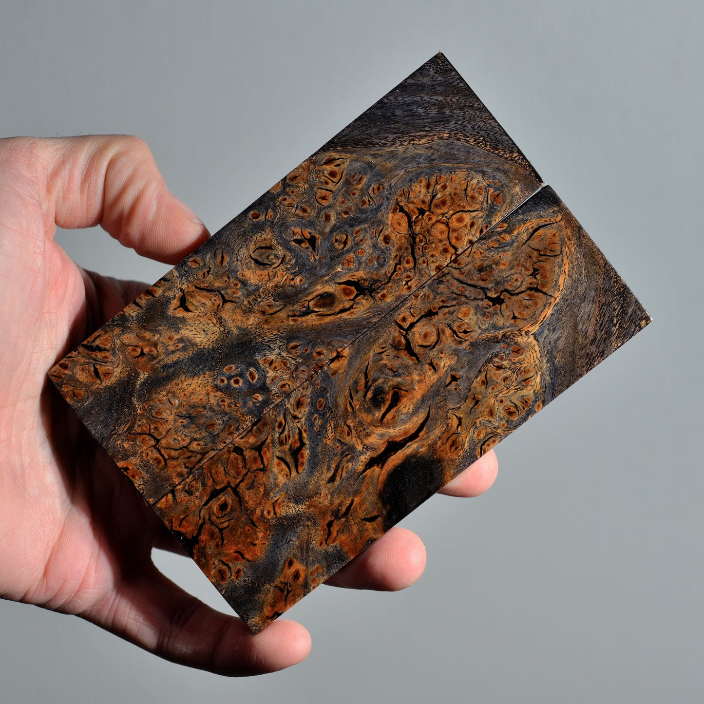 Stabilized elm burl handle scales featuring deep earthy colors, cracked burl texture and strong organic contrast.